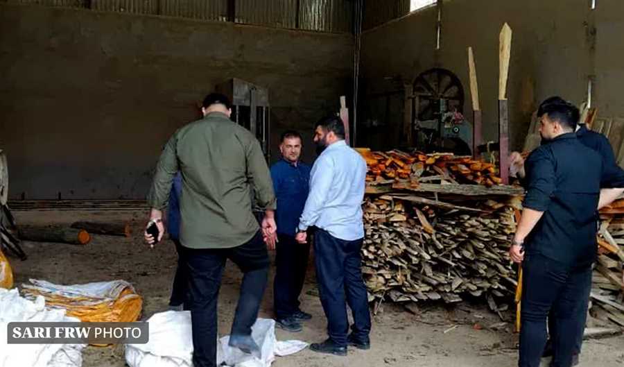 دستگیری دو خریدار چوب‌های قاچاق در مازندران
